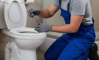 Toilet Repairs